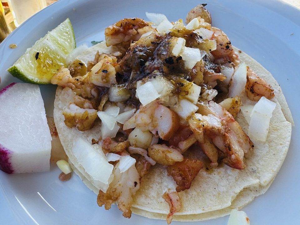 Shrimp tacos with onion and cilantro on a corn tortilla with a lime wedge